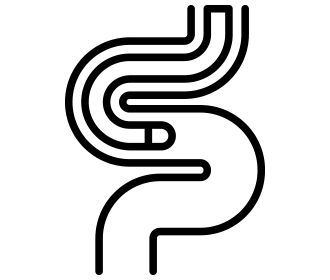 内視鏡検査